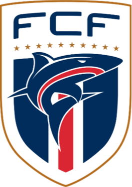 https://img.lartderue.com/img/football/team/b78fbb9123ed9633ac77215960a8a7b3.png